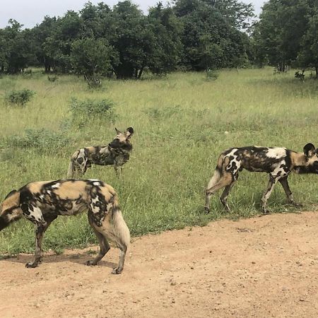 Marula Lodge Mfuwe Екстер'єр фото