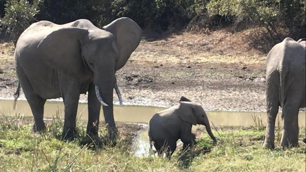 Marula Lodge Mfuwe Екстер'єр фото