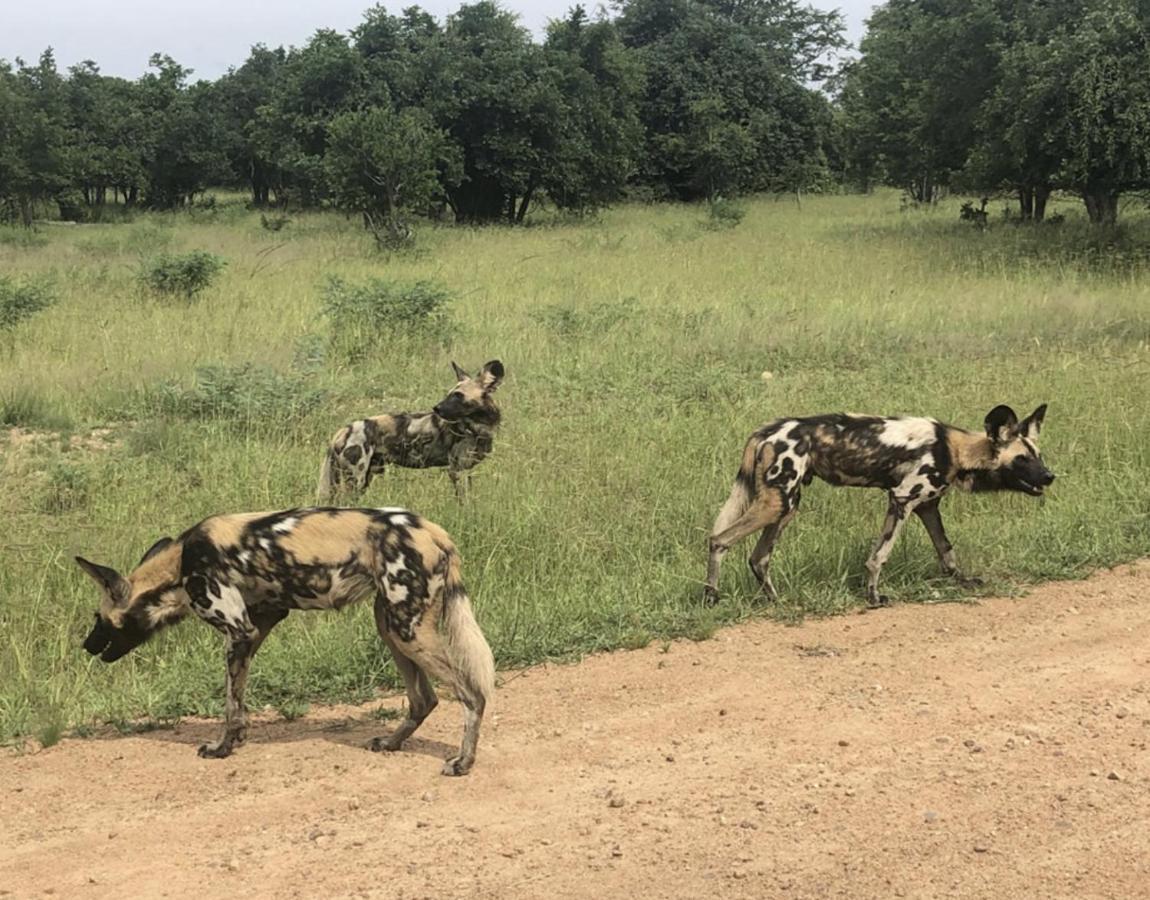 Marula Lodge Mfuwe Екстер'єр фото